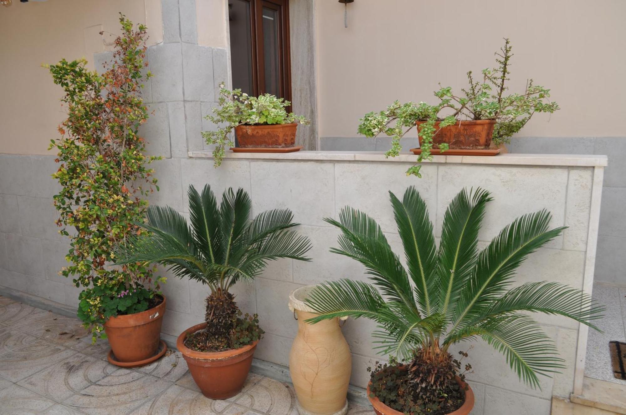 7 Contrade Acomodação com café da manhã Taranto Exterior foto